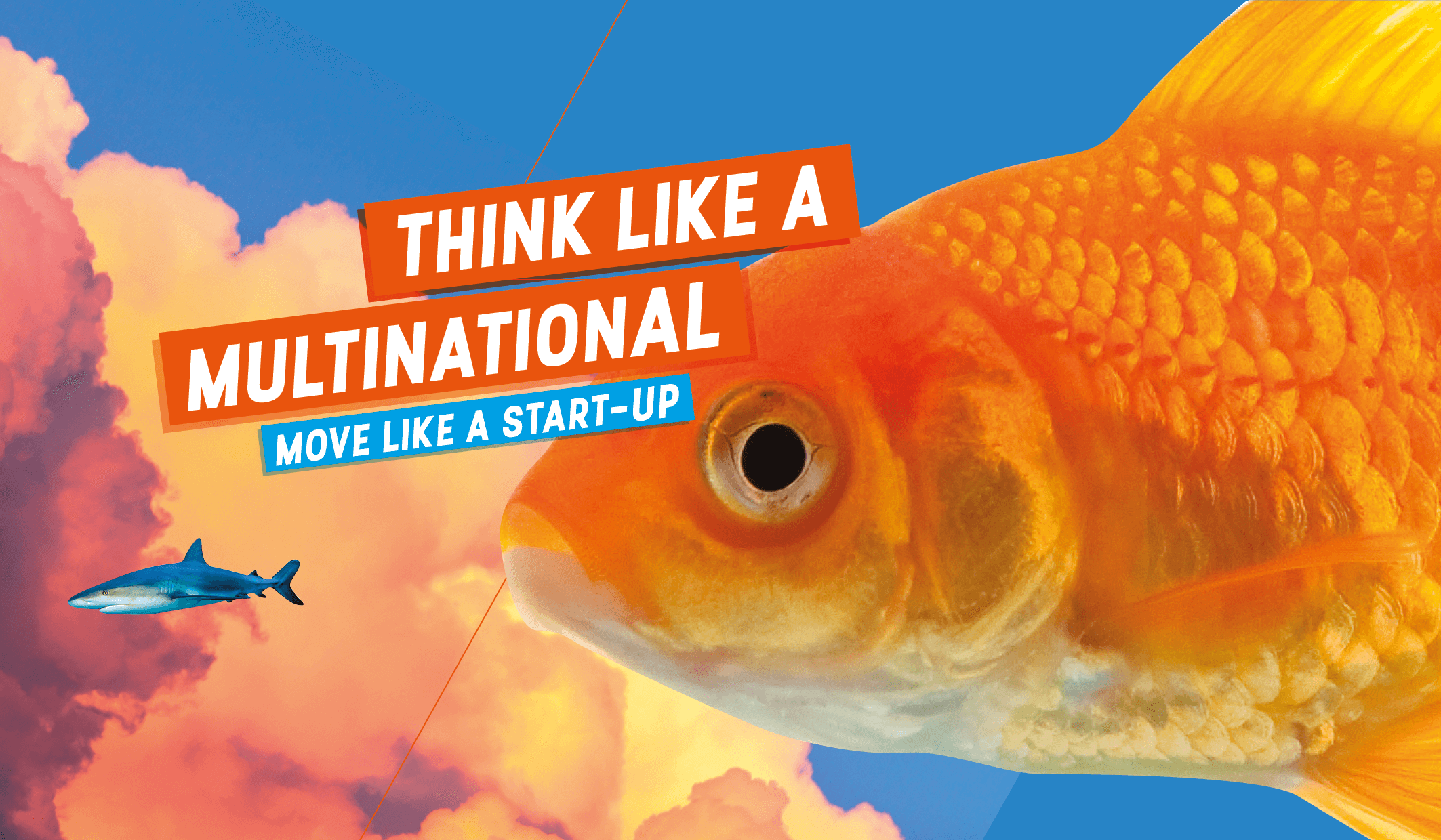 Think like a multinational - move like a start up